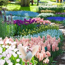  Décoration Extérieure Noël Décorations De Jardin En Plein Air Cour