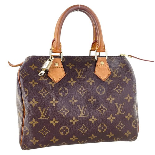 Sac main louis vuitton - main,