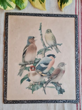 ANCIENNE PETITE LITHO SOUS VERRE DESSIN OISEAUX
