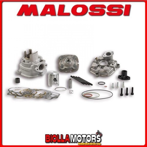 318884 cylindre kit malossi - cylindre,