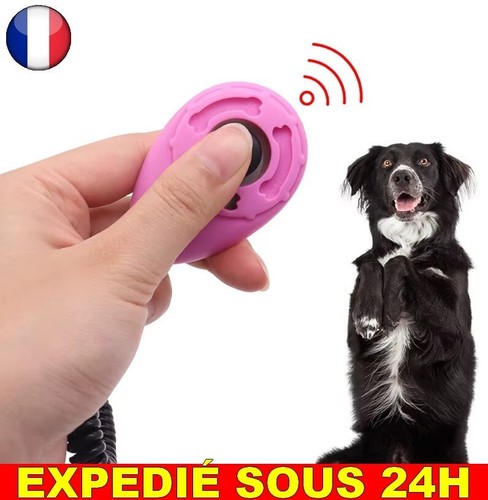 Entraîneur chien chat - entraîneur,