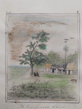 Guyane Cayenne Île Des Forçats Libérés Fin 19 Ème Bagne 3 Dessins Bagnard