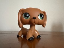 Petshop teckel authentique