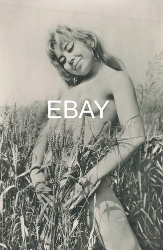 Sexy pin 1950s photo - sexy,
