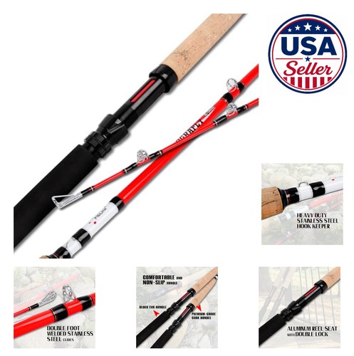 Catfish fishing rods 12ft - 12ft, 9ft