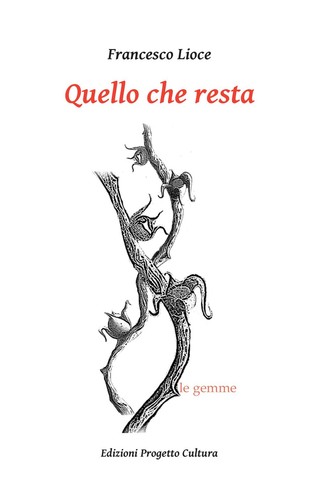 Francesco lioce quello - francesco, che