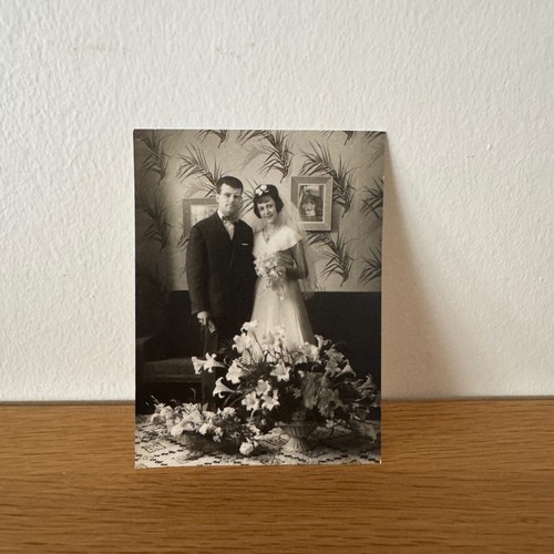 Photo argentique bernard darot - argentique,