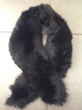 Belle ÉTOLE Ancienne Col