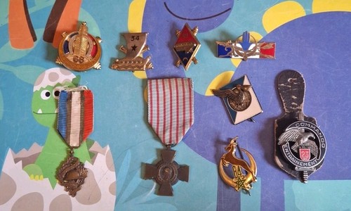Lot insignes militaire - 9,