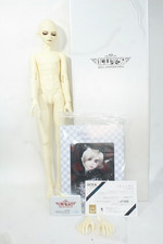 LUTS Senior Delf Terra