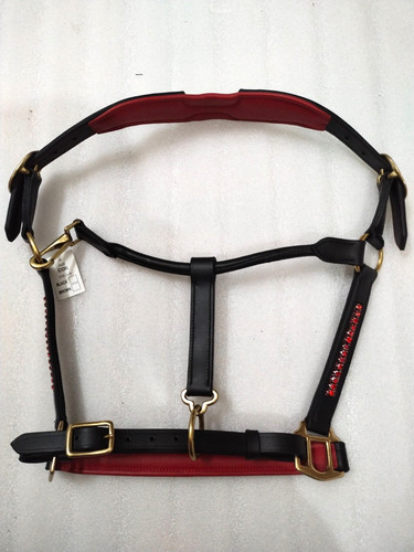 Support anatomique cheval en