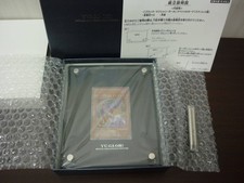 Carte inox Dark Magician Girl