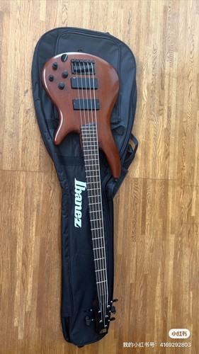 Basse électrique ibanez - électrique, sr