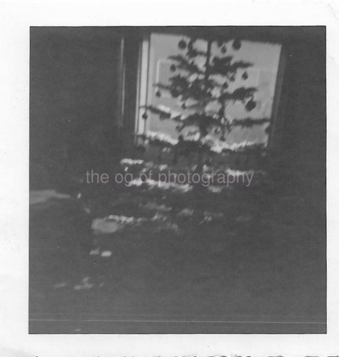 Noir christmas tree - christmas, found