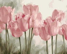 Peinture par numéros sans cadre Tulipes roses