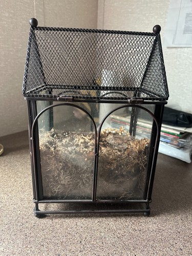 Glass enclosure with screen - enclosure,
