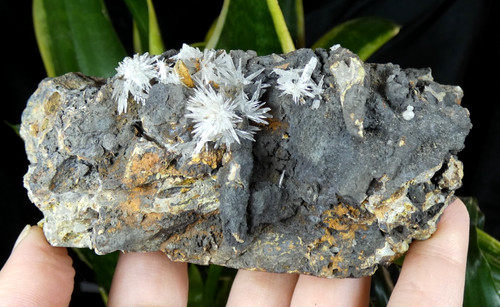 Aragonite calcite gergovie - &,