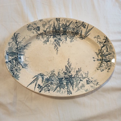 Modèle colibri plat - plat, keller