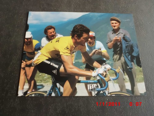 Bernard hinault posters - hinault,