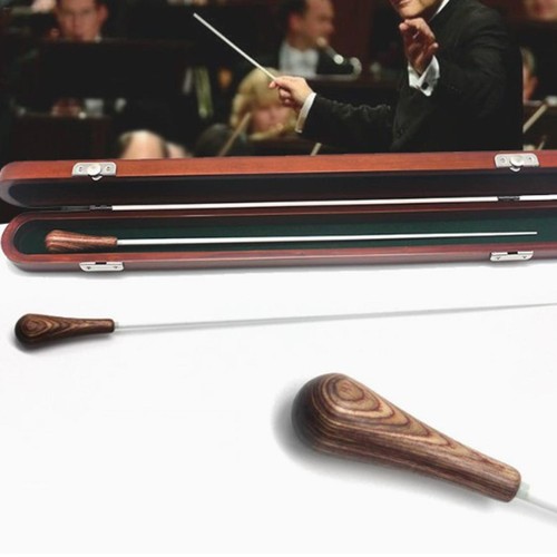 Baguette musique pour chef - pour,