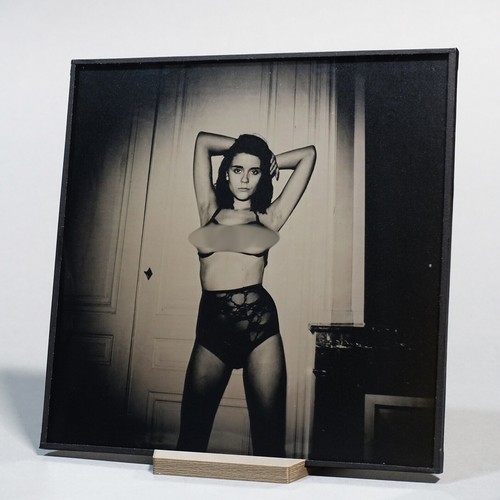 Original nude ambrotype - nude,