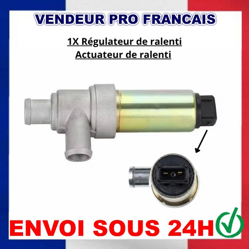 Régulateur ralenti cordoba - régulateur, de