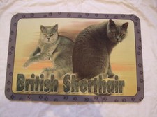 Tapis déco - chat   BRITISH SHORTHAIR