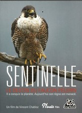 SENTINELLE LE DESTIN DU FAUCON