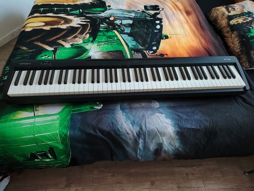 Roland touches piano - fp-10,