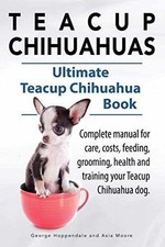 Teacup Chihuahuas. Teacup -