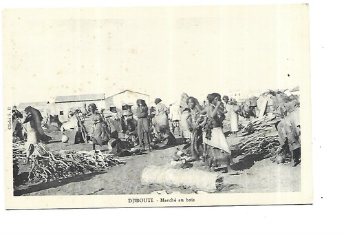 Djibouti marche bois - marche, au