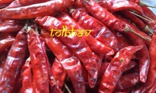 Piment rouge sec pur pur 100 % naturel, meilleure qualité supérieure d'Inde