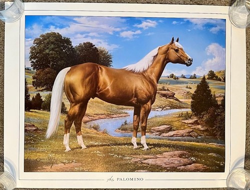 Orren mixer palomino stallion - orren,