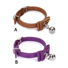 Collier de chien de compagnie