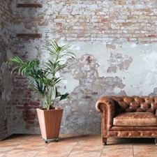 A.S. Creation Papier peint photo II 392261 Un motif par rouleau Pierre Gris