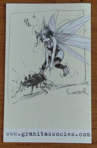 Carte loisel peter - pan,