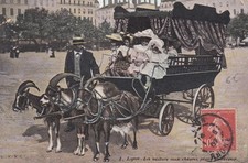 carte postale ancienne Lyon la voiture aux chèvres place Bellecour TB