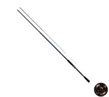 Canne à pêche en mer Daiwa