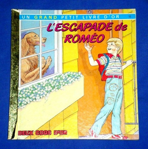 Escapade roméo chien - roméo,
