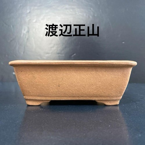 Rare bon pot bonsaï - pot,