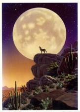 Carte Postale Illustrateur, Schim Schimmel, Desert Moon Song
