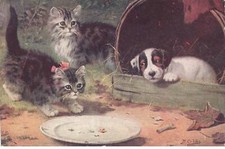 CHAT #32381 DEUX CHATONS GRIS