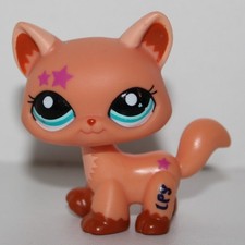 Petshop Chat Main coon # 2258