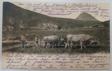 Carte Postale Ancienne