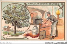 AHHP12-2254 - CHROMOS - CHOCOLAT-GUERIN-BOUTRON - PARIS - camphrier - 10,5