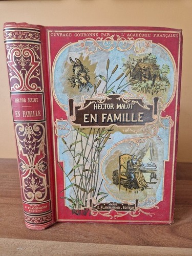 Famille par hector malot - en,