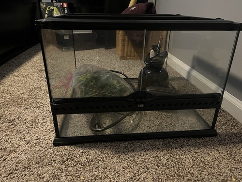 12hx18wx18l exo terrarium - terrarium, with