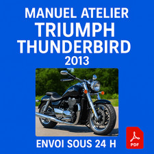 Manuel Atelier Triumph