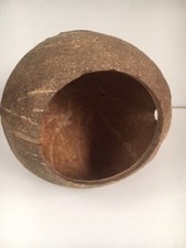 Vivarium 100% Naturel Coque 1 Trou Cacher Sec Sécurisé Taille Environ 10 x 9