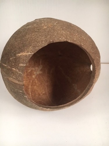 Vivarium 100 naturel - naturel, coque